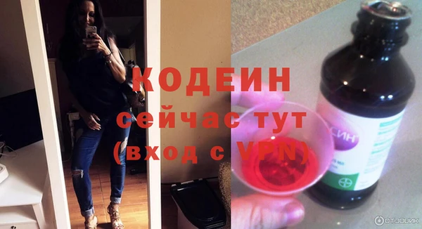 хмурый Аша