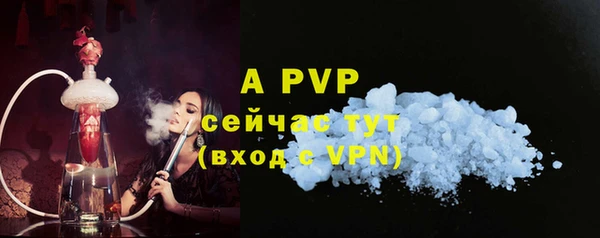 ECSTASY Лагань