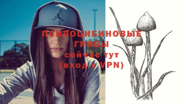 MDMA Ладушкин